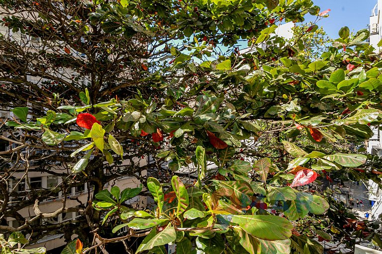 Luxury in Copacabana Near the Beach | BI 115/501